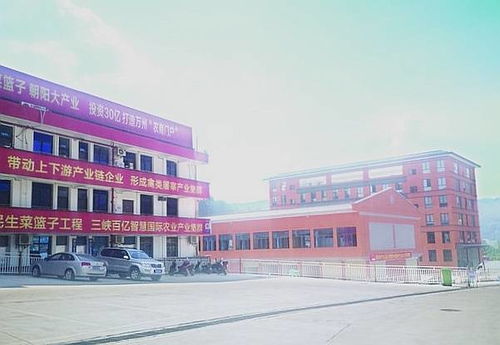 三峽國際農(nóng)產(chǎn)品集散基地 商貿(mào)區(qū) 年底投入運營 豐富渝東北片區(qū) 菜籃子