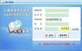 2012年下半年兵團軟件水平考試系統集成項目管理工程師成績查詢指南